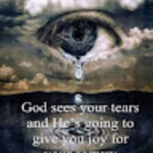 Meet your Posher, Charlotte